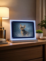 Custom LED Lightbox