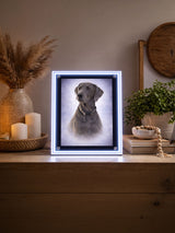 Custom LED Lightbox